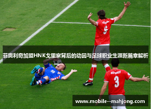 菲奥利奇加盟HNK戈里察背后的动因与足球职业生涯新篇章解析