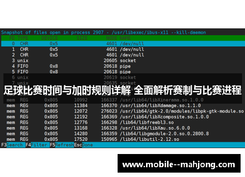 足球比赛时间与加时规则详解 全面解析赛制与比赛进程