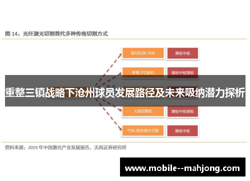 重整三镇战略下沧州球员发展路径及未来吸纳潜力探析